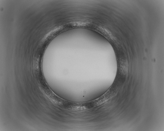 X0000081310543200701251745