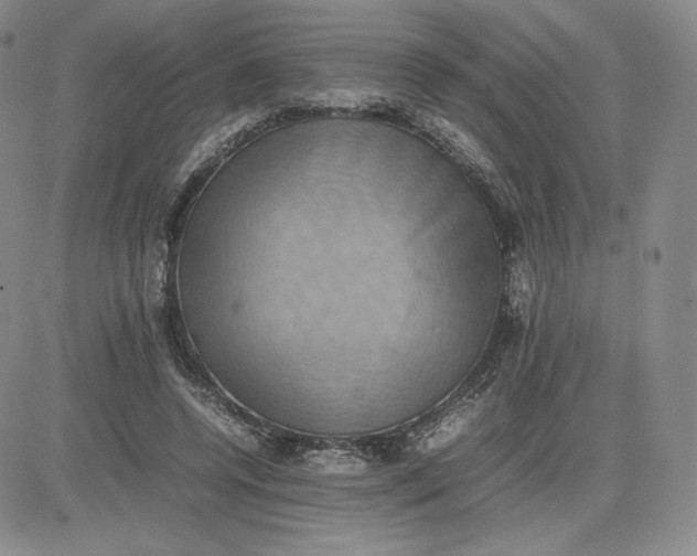 X0000081310544200701251745