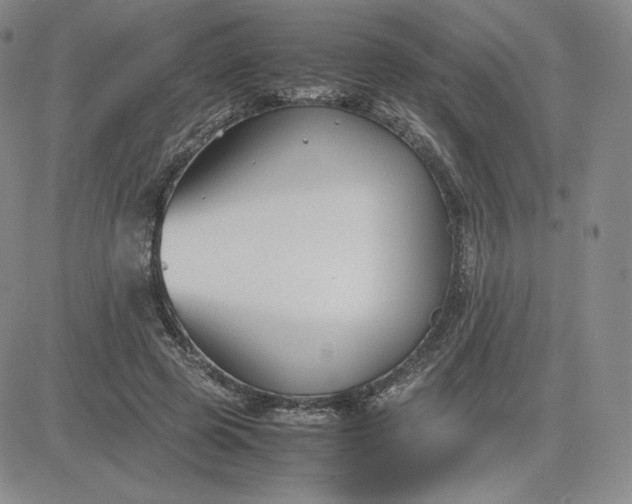 X0000081310545200701251745