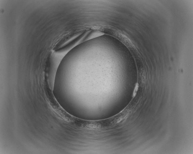 X0000081310546200701251745