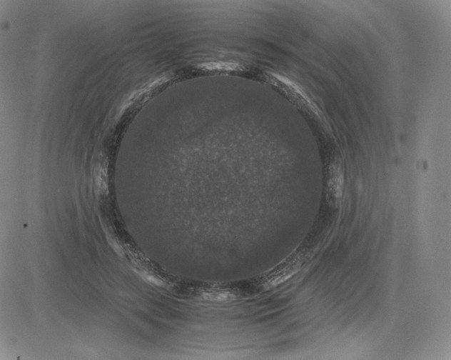 X0000081310547200701251745