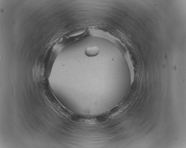 X0000081310548200701251745