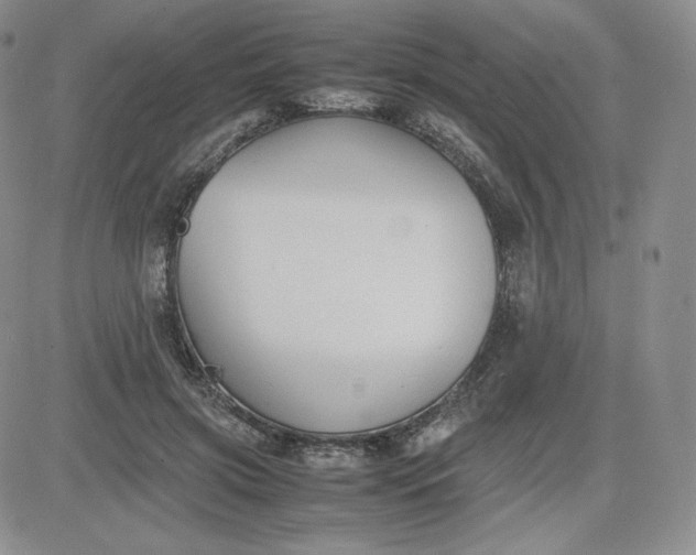 X0000081310549200701251745