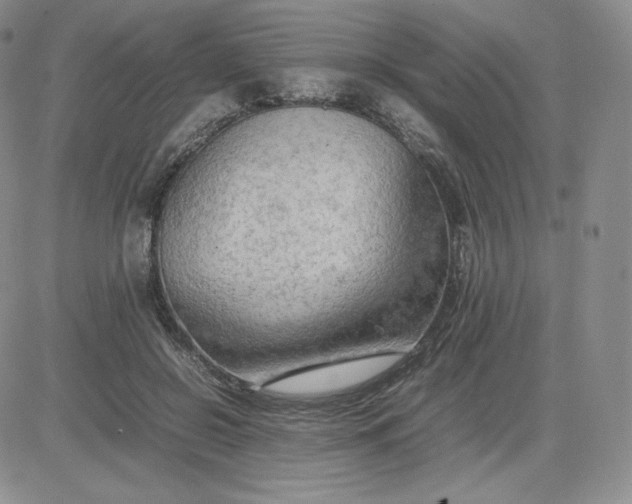 X0000081310550200701251745