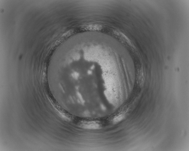 X0000081310553200701251745