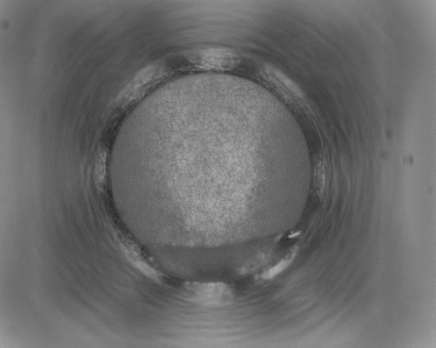 X0000081310554200701251745