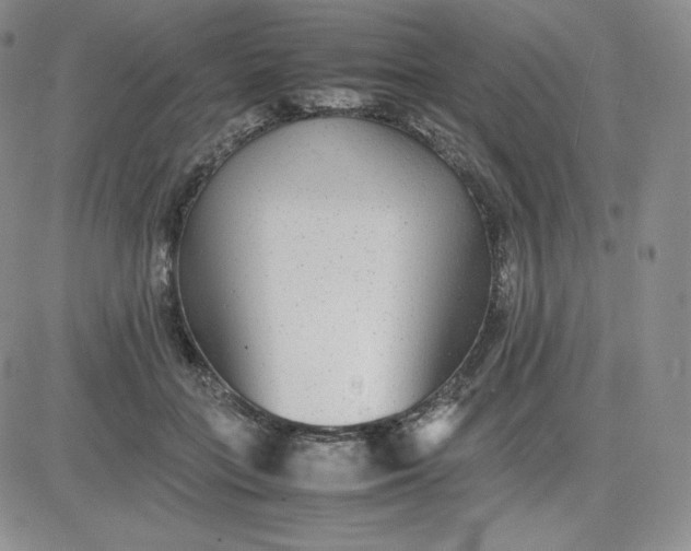 X0000081310555200701251745