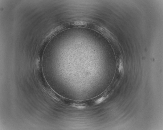 X0000081310556200701251746