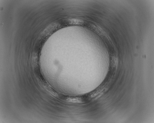 X0000081310557200701251746