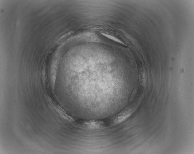 X0000081310558200701251746