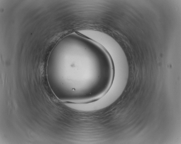 X0000081310560200701251746