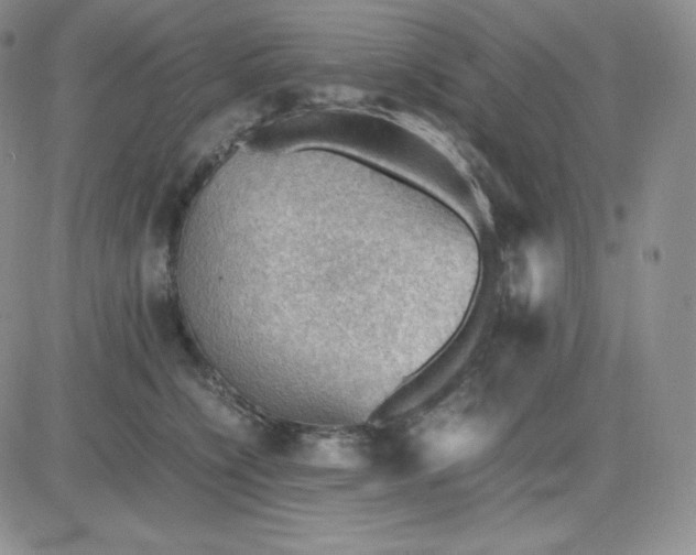 X0000081310564200701251746