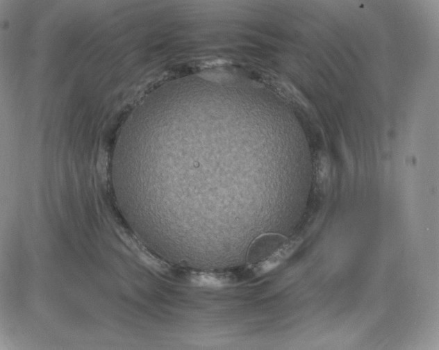 X0000081310565200701251746