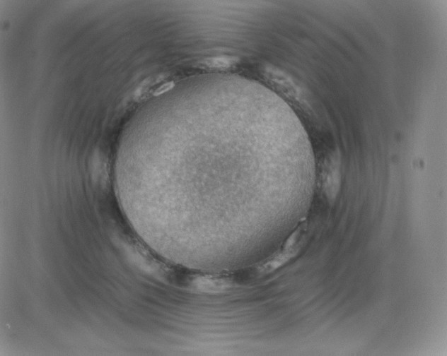 X0000081310568200701251746