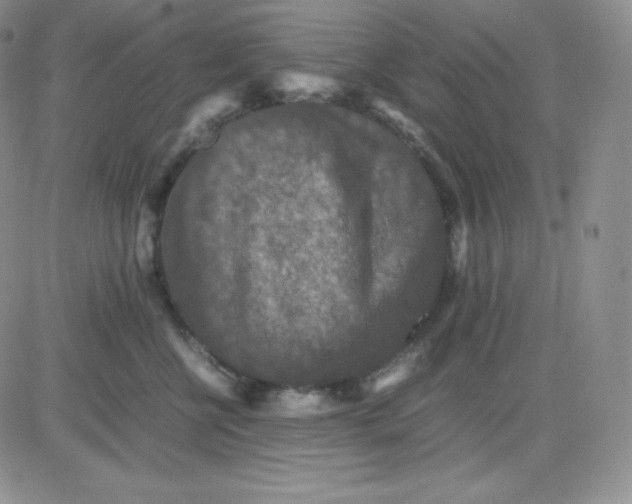 X0000081310570200701251746