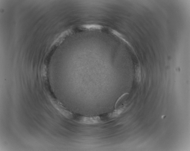 X0000081310571200701251746