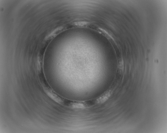 X0000081310572200701251746