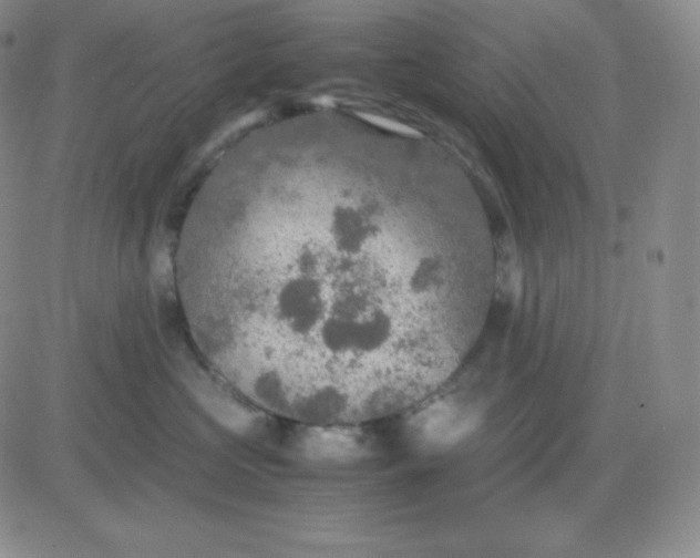 X0000081310573200701251746