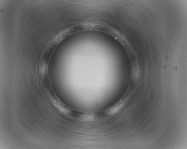 X0000081310574200701251746