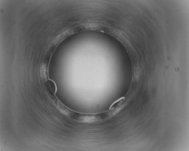 X0000081310575200701251746