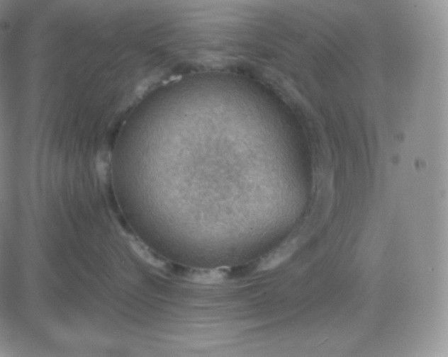 X0000081310576200701251746