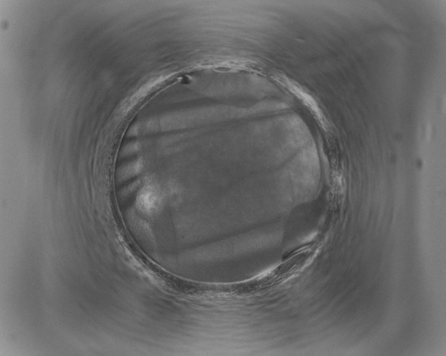 X0000081310577200701251745