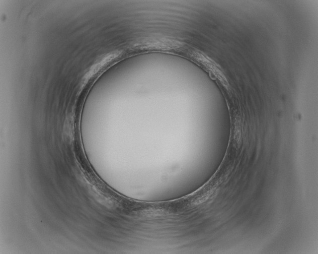 X0000081310578200701251745