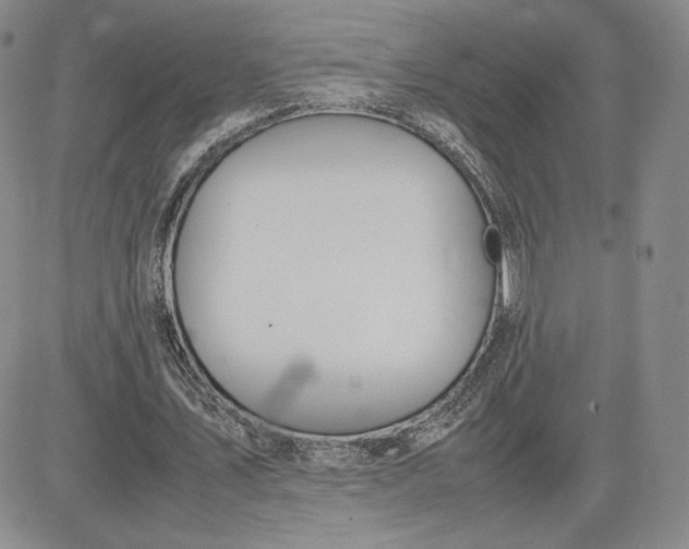 X0000081310579200701251745