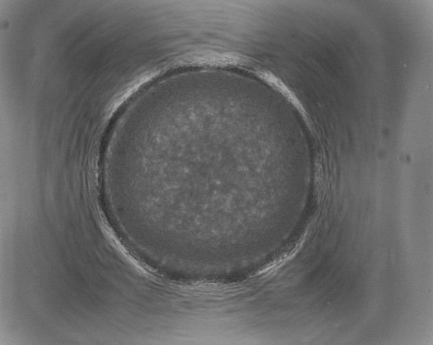 X0000081310581200701251745