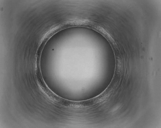 X0000081310582200701251745