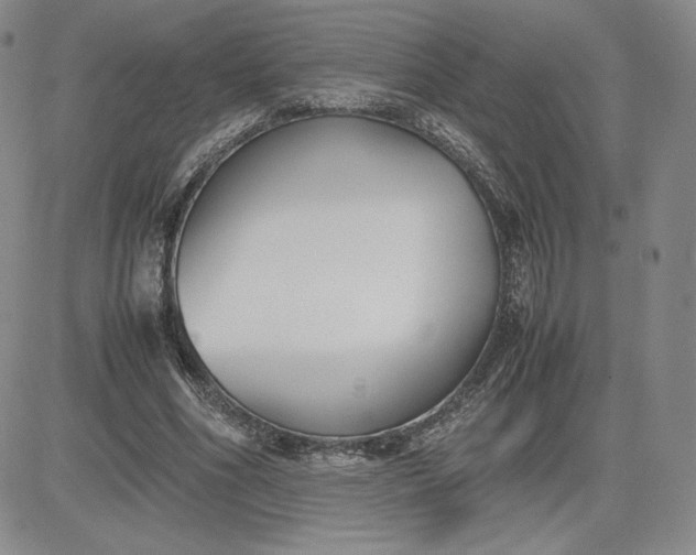 X0000081310586200701251745