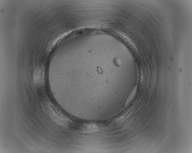 X0000081310588200701251745