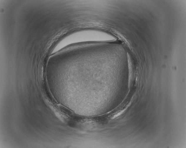 X0000081310589200701251745