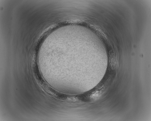 X0000081310591200701251745