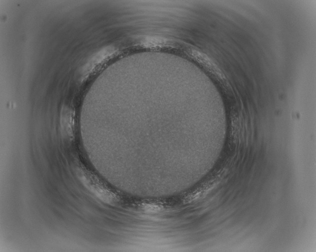 X0000081310592200701251745