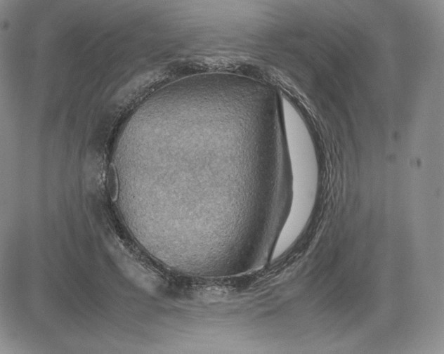 X0000081310593200701251745