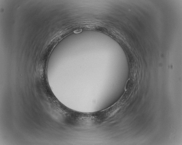 X0000081310595200701251745