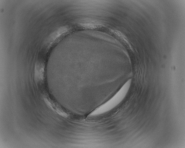 X0000081310596200701251745