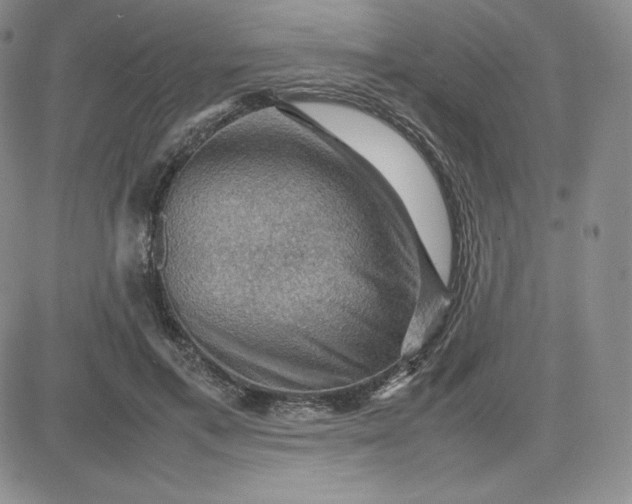 X0000081310597200701251745