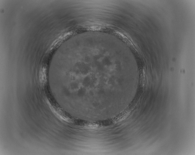 X0000081310598200701251745