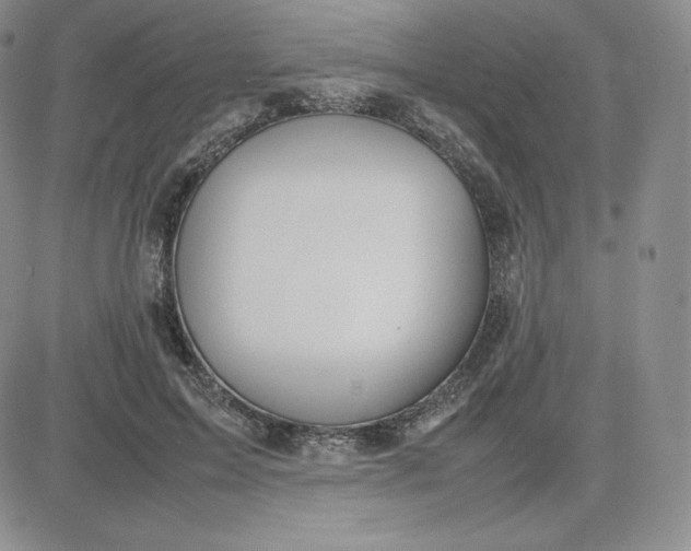 X0000081310599200701251745