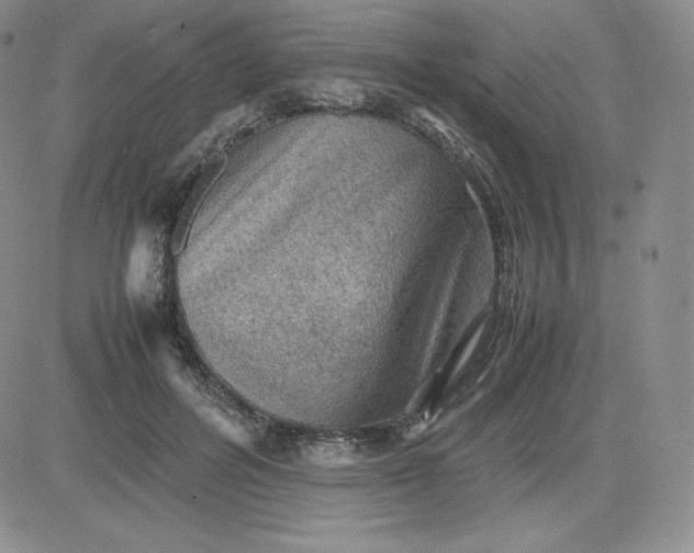 X0000081310600200701251745