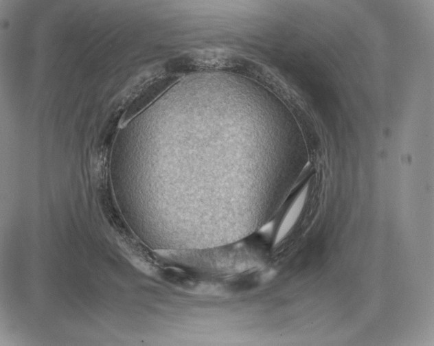 X0000081310601200701251745