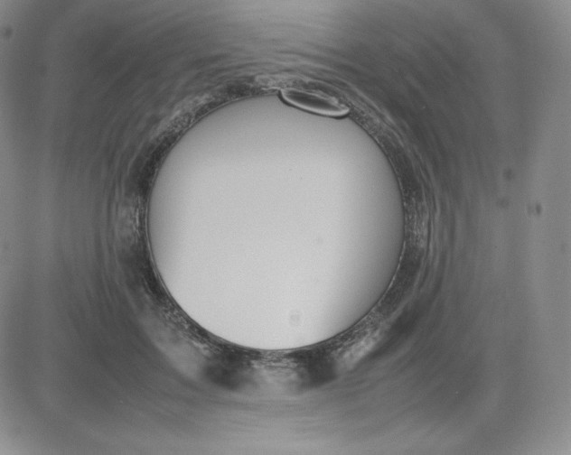 X0000081310603200701251745