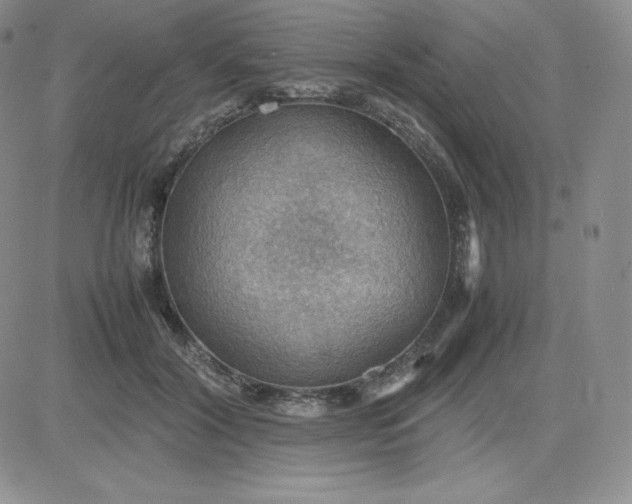 X0000081310604200701251745