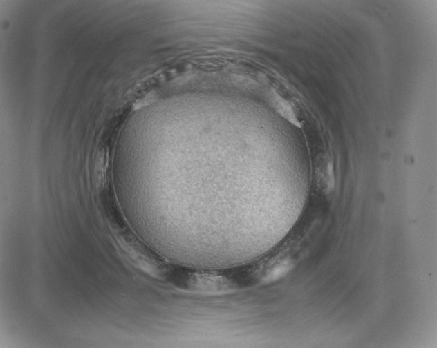 X0000081310605200701251745