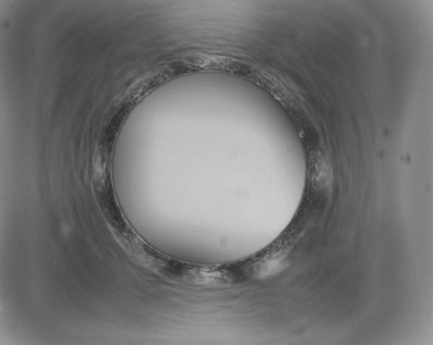 X0000081310607200701251745