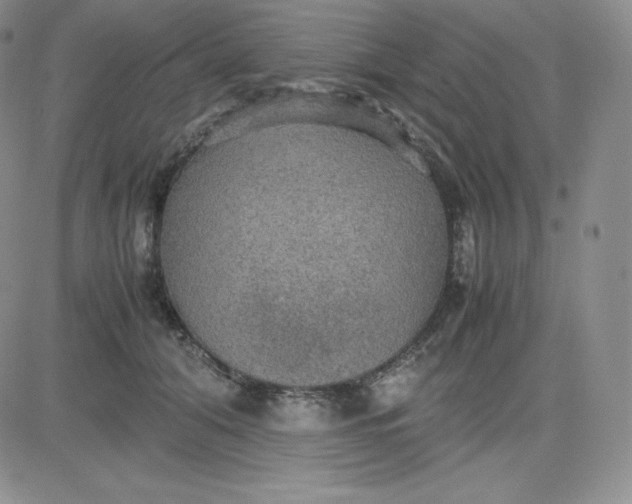 X0000081310608200701251745