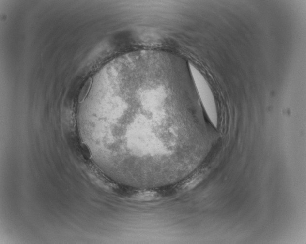 X0000081310609200701251745