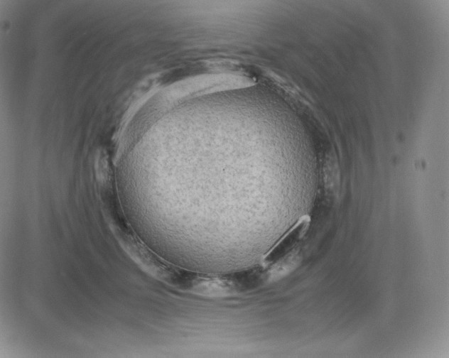 X0000081310611200701251744